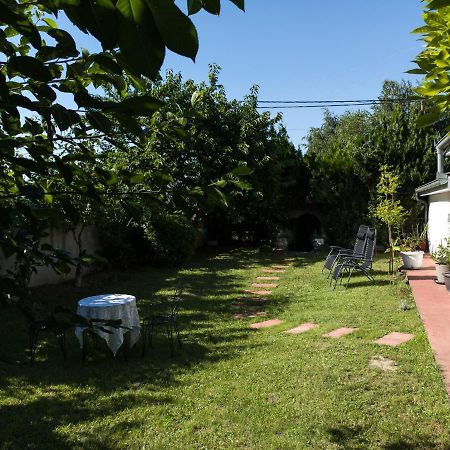 Apartman Dvoristance Golubac Zewnętrze zdjęcie